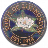 Town of Livingston