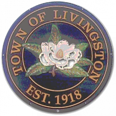 Town of Livingston